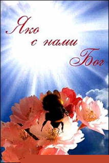 Яко с нами Бог. С. Лавров - 385